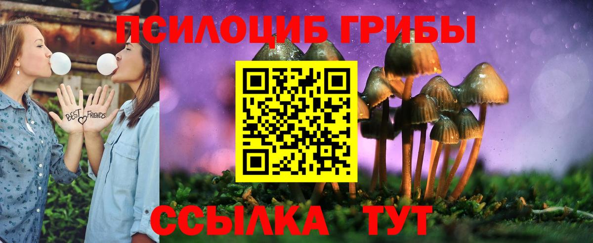 Галлюциногенные грибы ЛСД  Вход с VPN  Бердск 